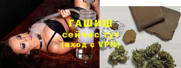 соль ск Вяземский