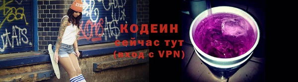 соль ск Вяземский