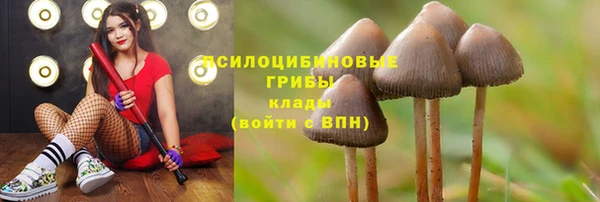 соль ск Вяземский