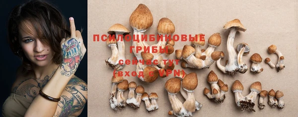 соль ск Вяземский