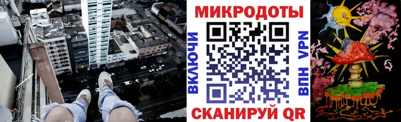 что такое   Дятьково  Галлюциногенные грибы Psilocybine cubensis 